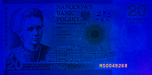 Banknot w ultrafiolecie 20 zotych 2011 (365 nm) - awers