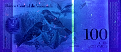 Banknot 100 bolivarow w ultrafiolecie