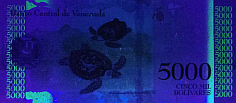 Banknot 5000 bolivarow w ultrafiolecie